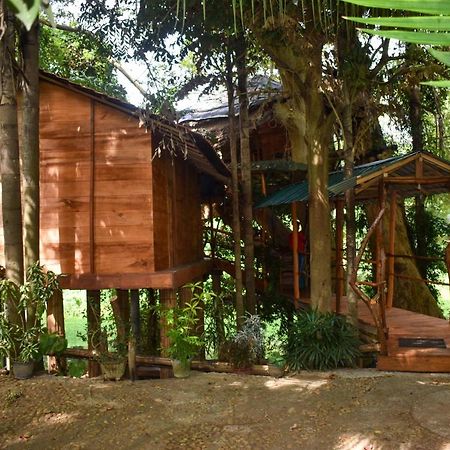 Kumbuk Tree House Yala Villa Tissamaharama Bagian luar foto