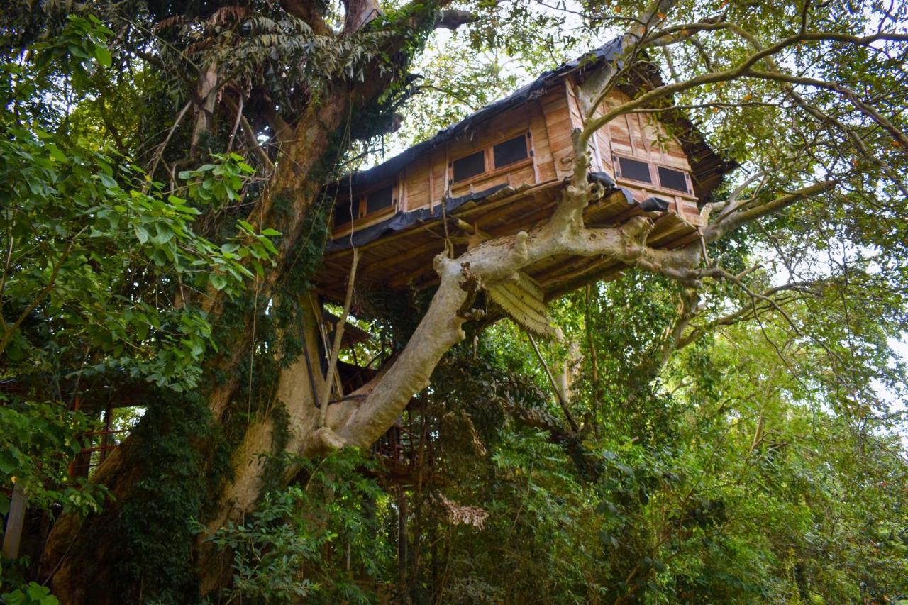 Kumbuk Tree House Yala Villa Tissamaharama Bagian luar foto