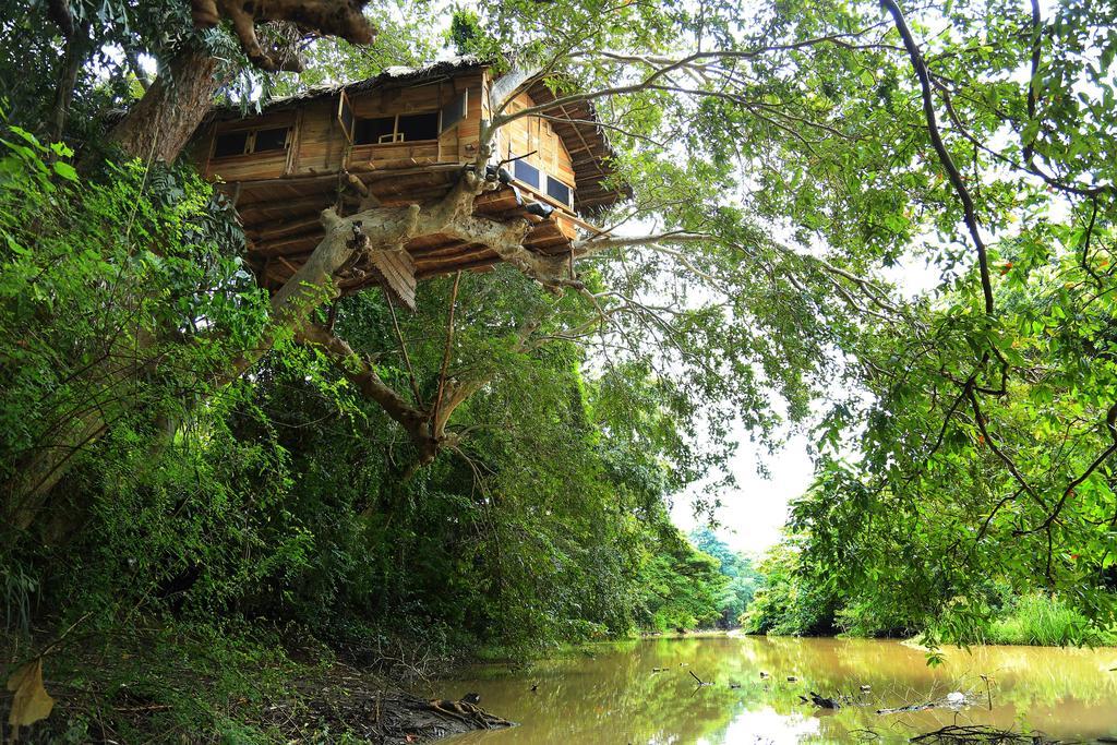 Kumbuk Tree House Yala Villa Tissamaharama Bagian luar foto