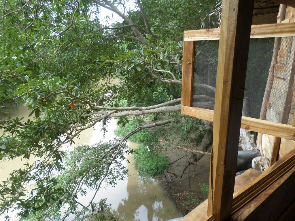 Kumbuk Tree House Yala Villa Tissamaharama Bagian luar foto