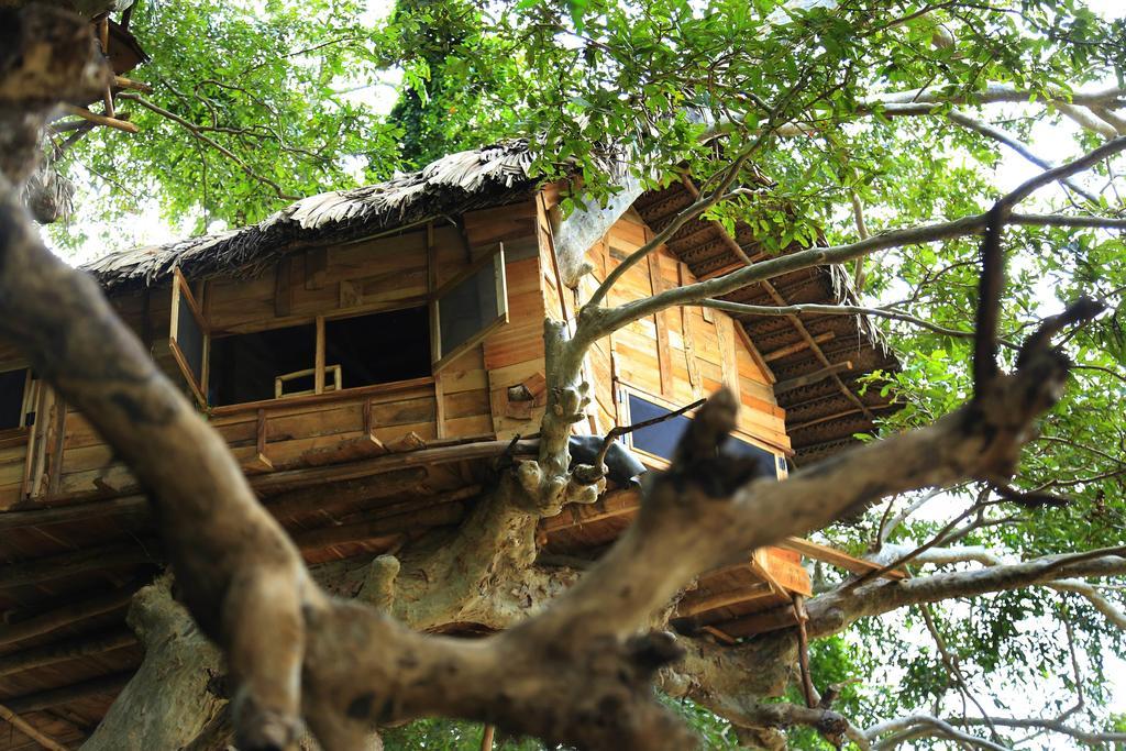 Kumbuk Tree House Yala Villa Tissamaharama Bagian luar foto