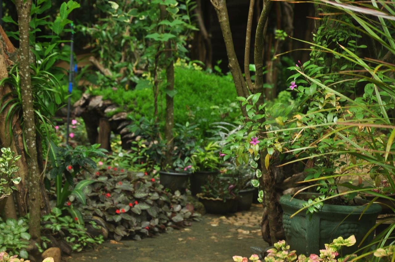 Kumbuk Tree House Yala Villa Tissamaharama Bagian luar foto