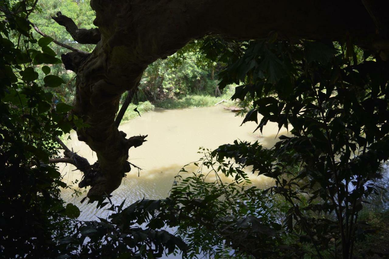 Kumbuk Tree House Yala Villa Tissamaharama Bagian luar foto