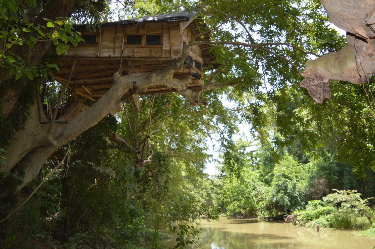 Kumbuk Tree House Yala Villa Tissamaharama Bagian luar foto