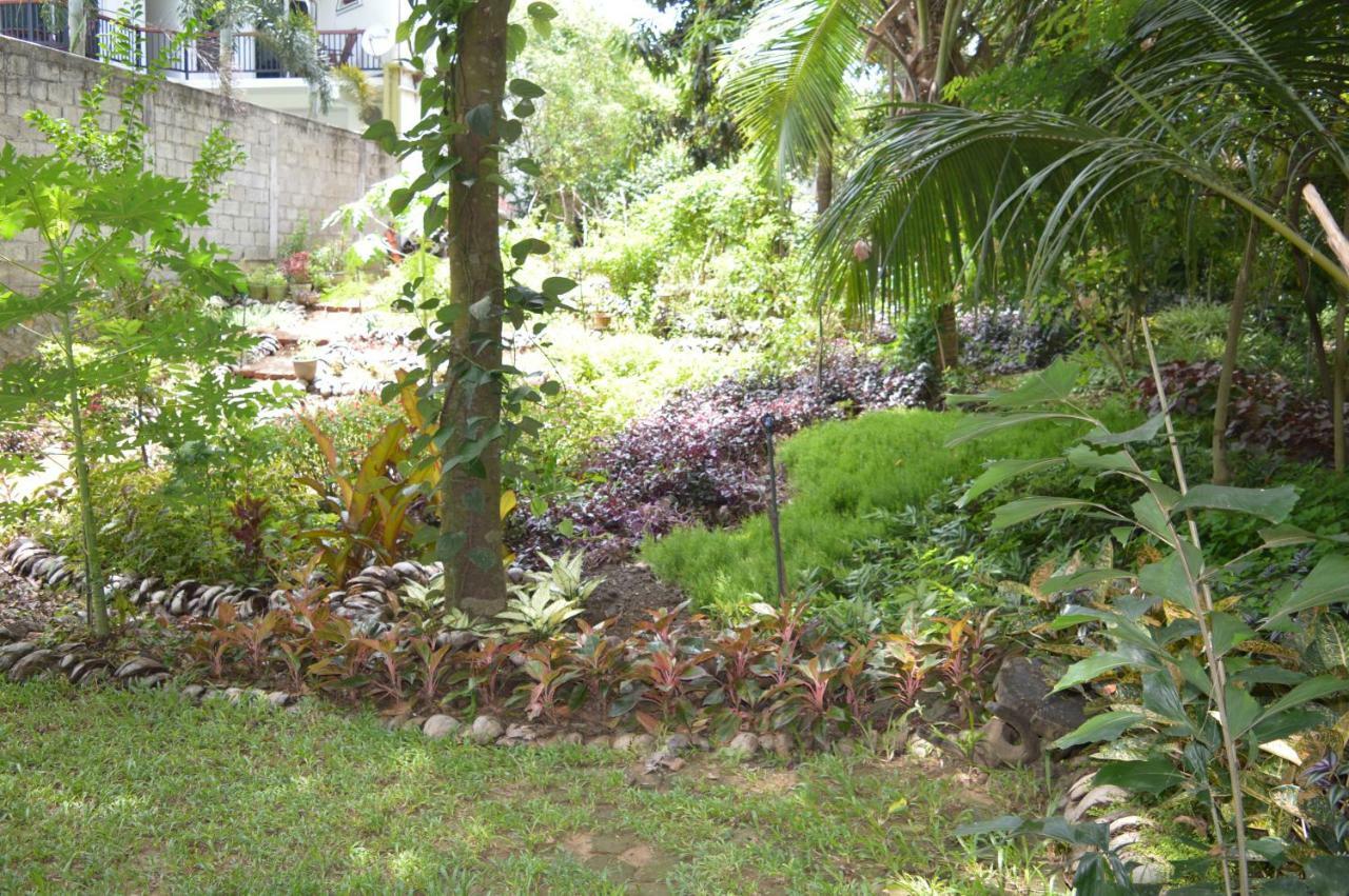 Kumbuk Tree House Yala Villa Tissamaharama Bagian luar foto