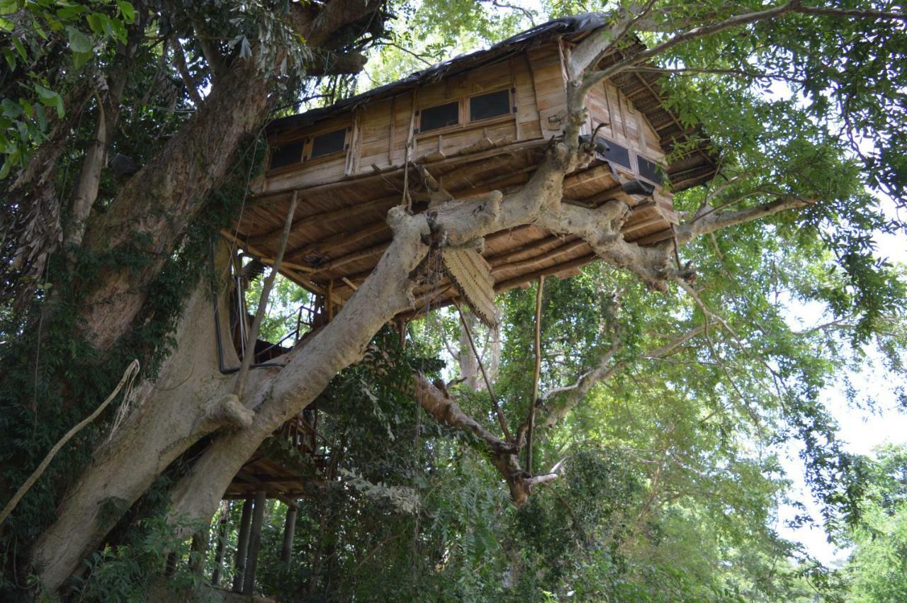 Kumbuk Tree House Yala Villa Tissamaharama Bagian luar foto